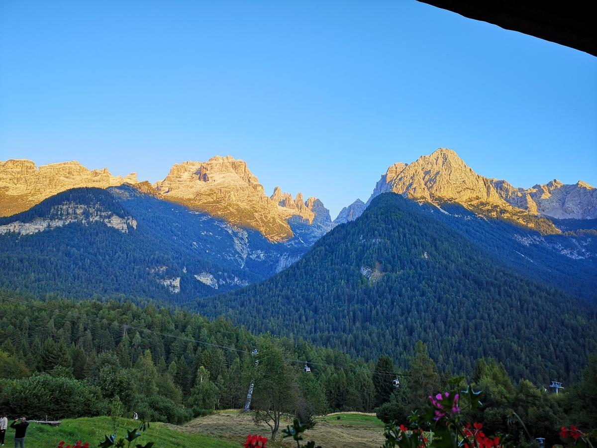 Fogajard Lovely Chalet Madonna Dış mekan fotoğraf